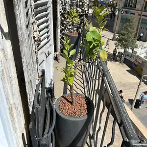 Apartamento Vieux Port République Cannebiére Marsella